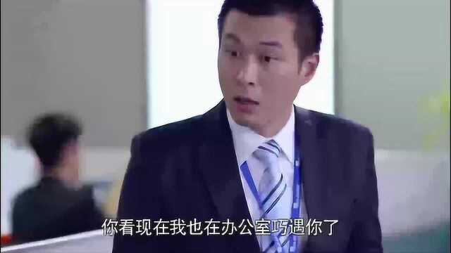 影视:楼上来了个帅哥高管,迷晕了公司同事,总裁怒了