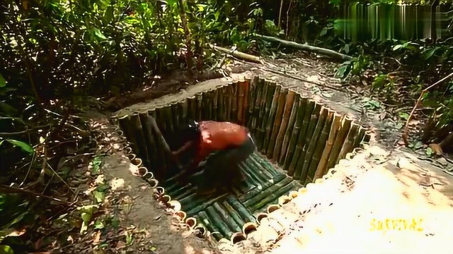 荒野大师在野外建造隐蔽的地下竹屋,让自己的生存能力大大提升!