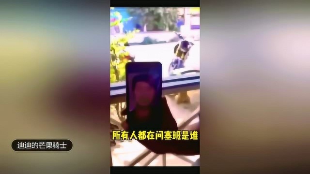 火遍全网的塞班你以为是狗?塞班后续