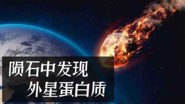 陨石中发现第一个已知“外星蛋白”,科学家对此感到费解