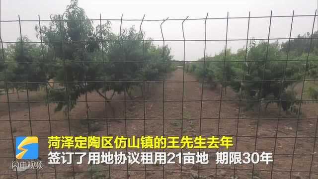 问政追踪丨菏泽定陶未建养猪场位于生态敏感区 当地承诺帮助重新选址