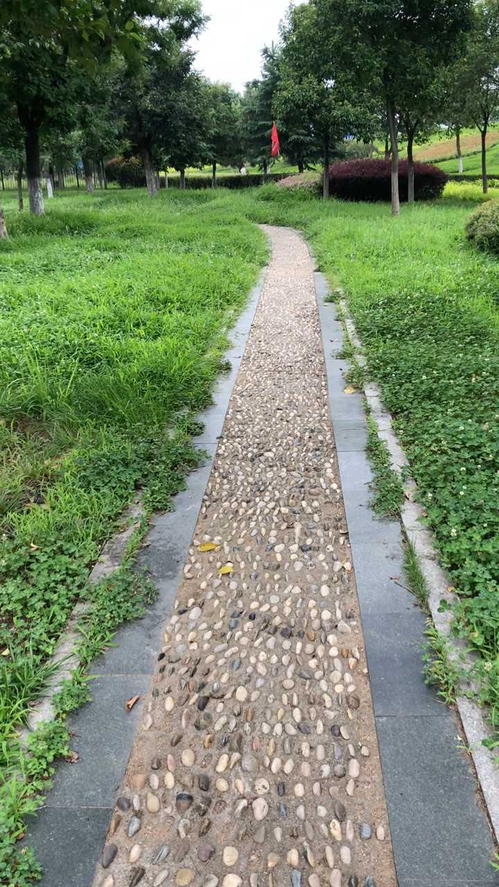 走在公园的鹅卵石路上,看着前面的风景,真的是一种享受