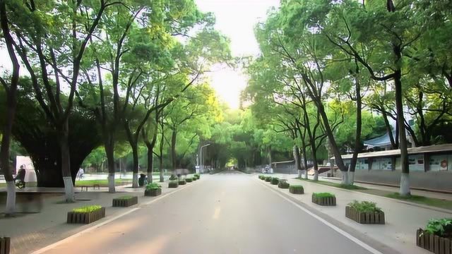 华中师范大学CCNU2020