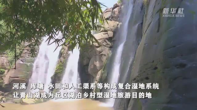 重庆万盛:汛期中的湿地公园 防洪旅游两不误