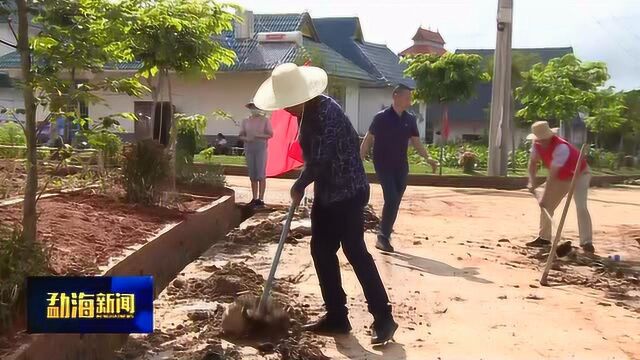 勐遮镇开展“提升人居环境”主题党日活动