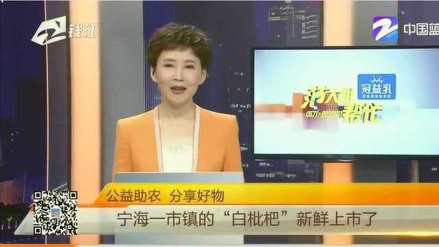 公益助农,分享好物:宁海一市镇的“白枇杷”新鲜上市了