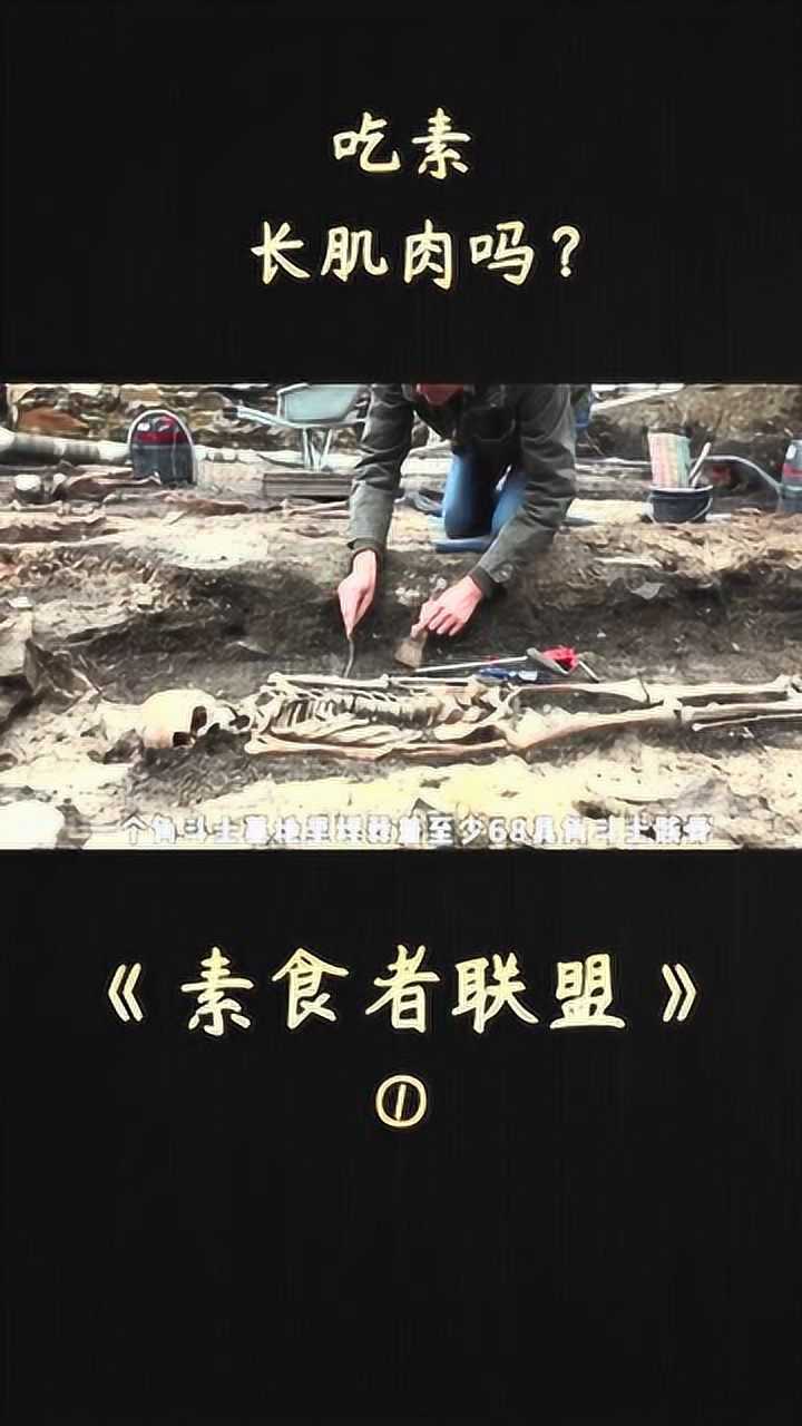 纪录片《素食者联盟》