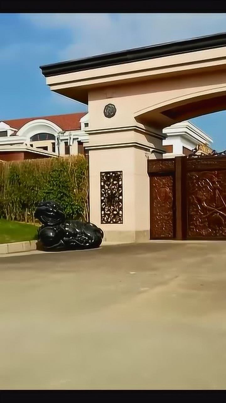 据说价值上亿,网友:这是一扇通往财富的大门