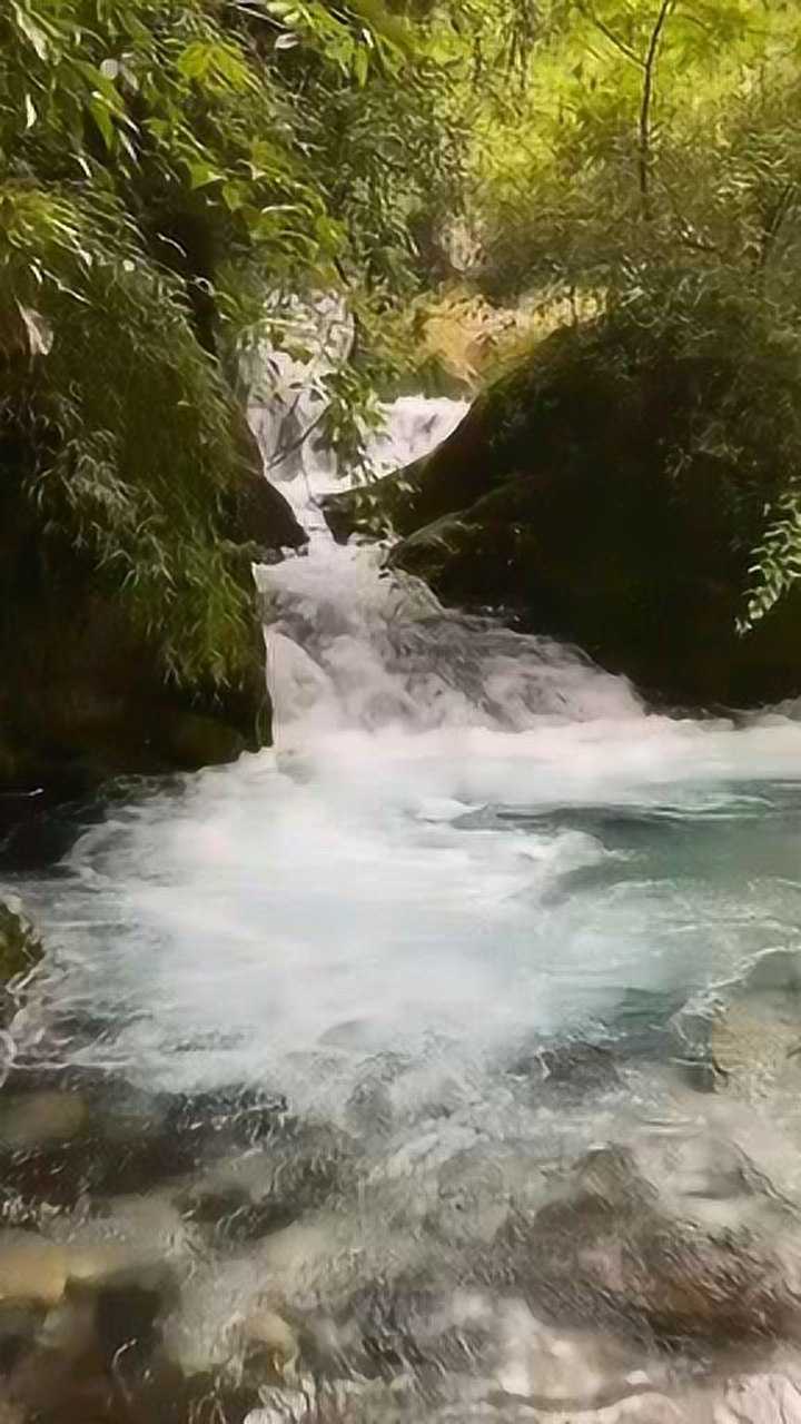 聽著流水潺潺的聲音,彷彿感受到了生命的靜美