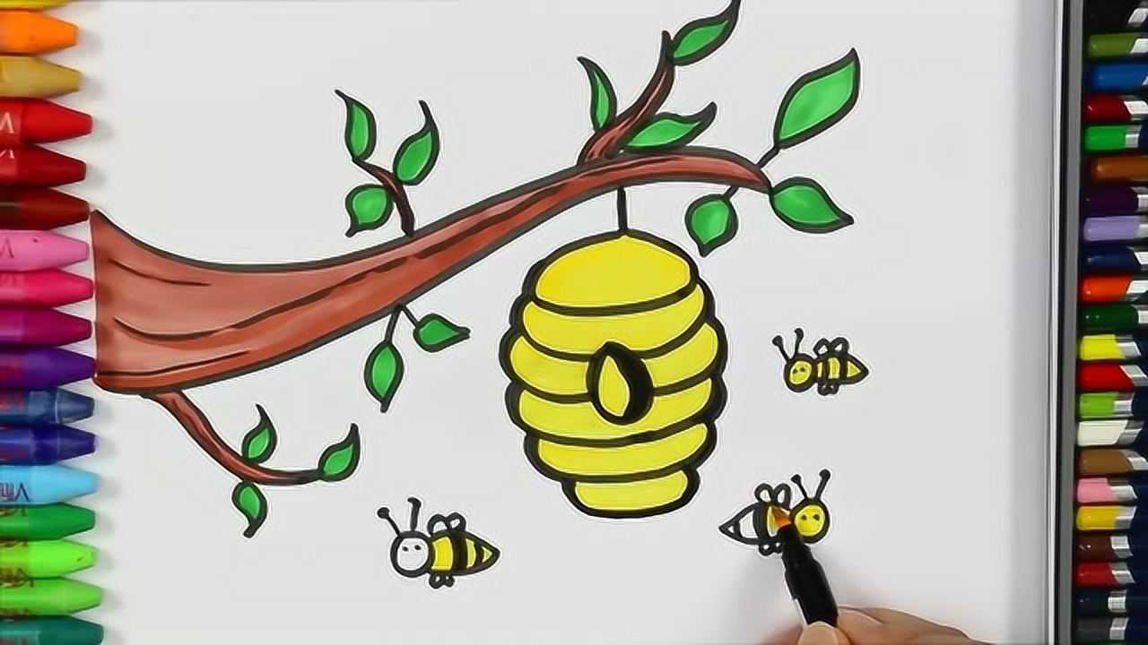 小树爸爸教画画:学习画蜜蜂蜂巢
