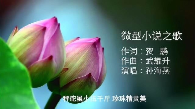 贺鹏:微型小说之歌