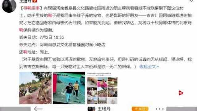 王珞丹凌晨微博发寻鸭启事 路人顺手牵鸭引网友热议