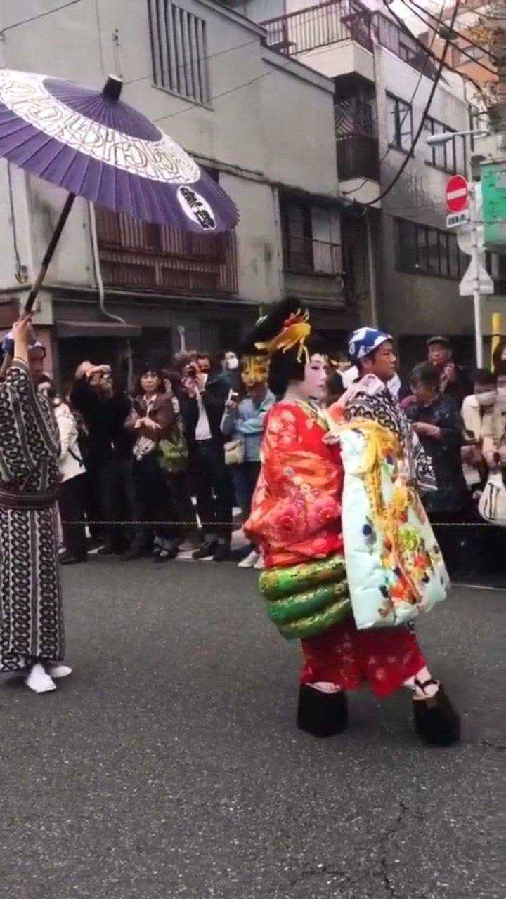 你们要的花魁道中,不过是去年的花魁!