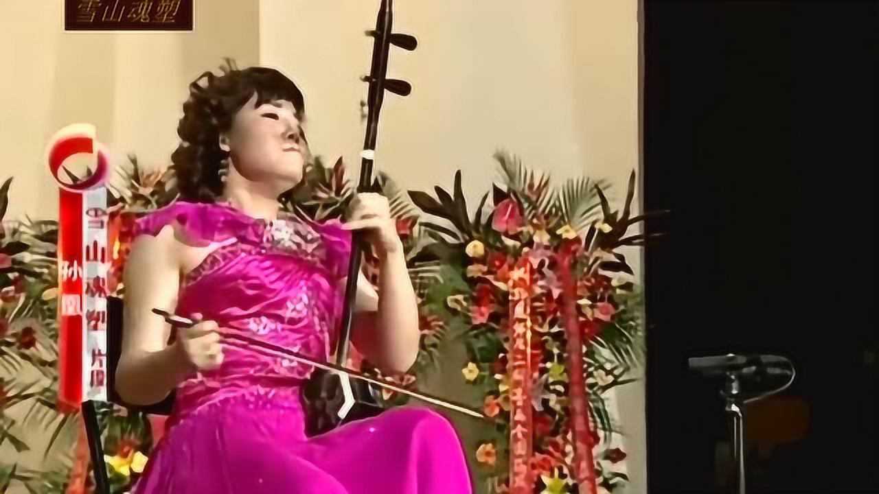 二胡名曲雪山魂塑孙凰老师精彩演奏大师风范