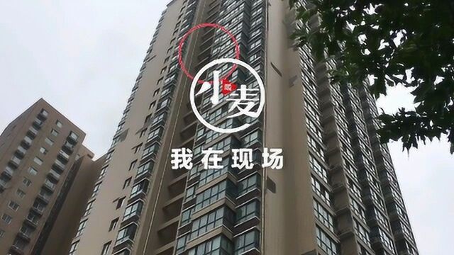 噼噼啪啪!30层高楼瓷片四处飞溅 原来是“蜘蛛人”悬空排险