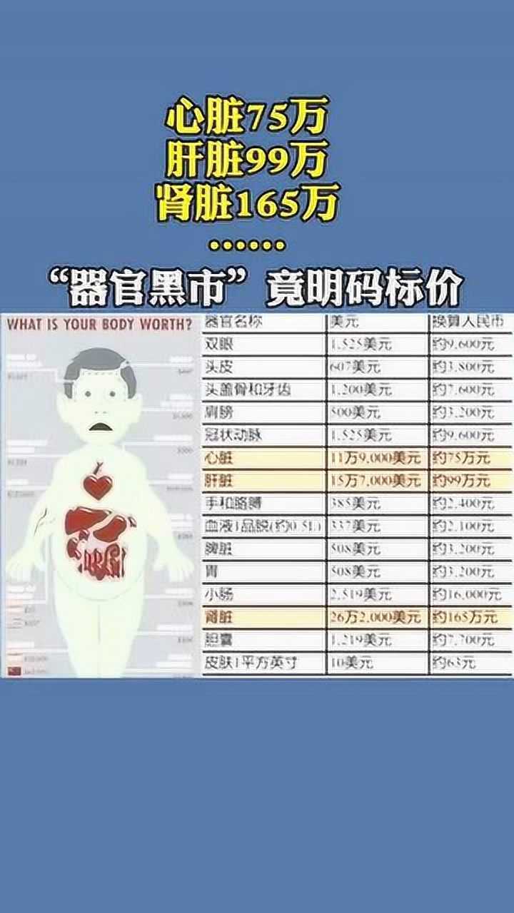 邢台警方端掉一个肾脏黑市器官交易价格图竟明码标价震惊众人