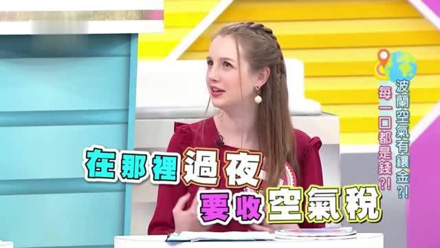 各国奇怪的税,美国纽约收假发税,波兰竟然收空气税