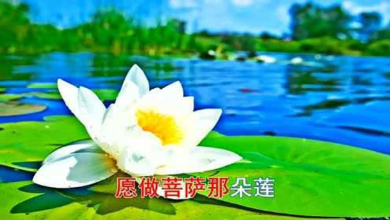 佛光普照我佛慈悲愿佛天佑众生平安幸福愿做菩萨那朵莲