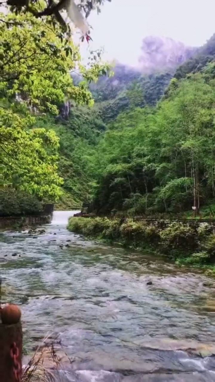 空山新雨後春日芳菲幽雲霧山間繞清泉石上流