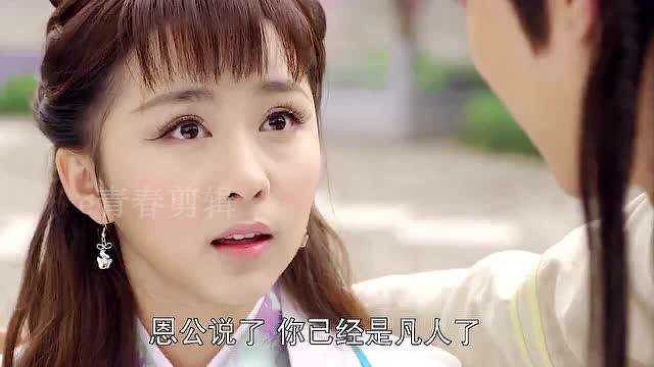 降龙伏虎小济公2牡丹仙子为了书生自断仙根宁愿化作凡人和他厮守