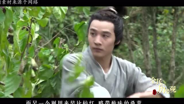 《二十四孝》中“拾葚异器”孝感动天,连强盗也被感动