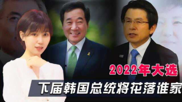 2022年大选,下届韩国总统将花落谁家