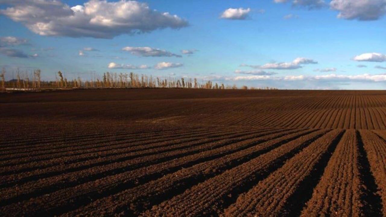 世界三大黑土地分布区有着得天独厚的优势