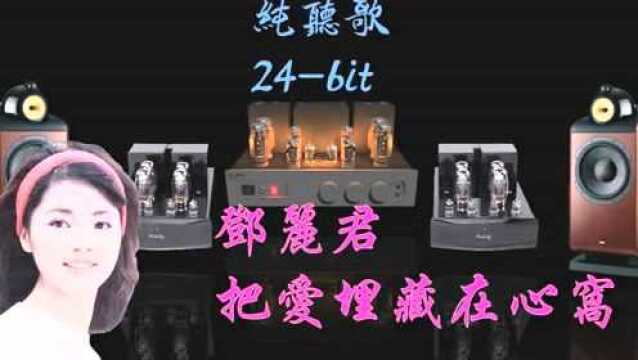 邓丽君把爱埋藏在心窝,24bit,真空管录制