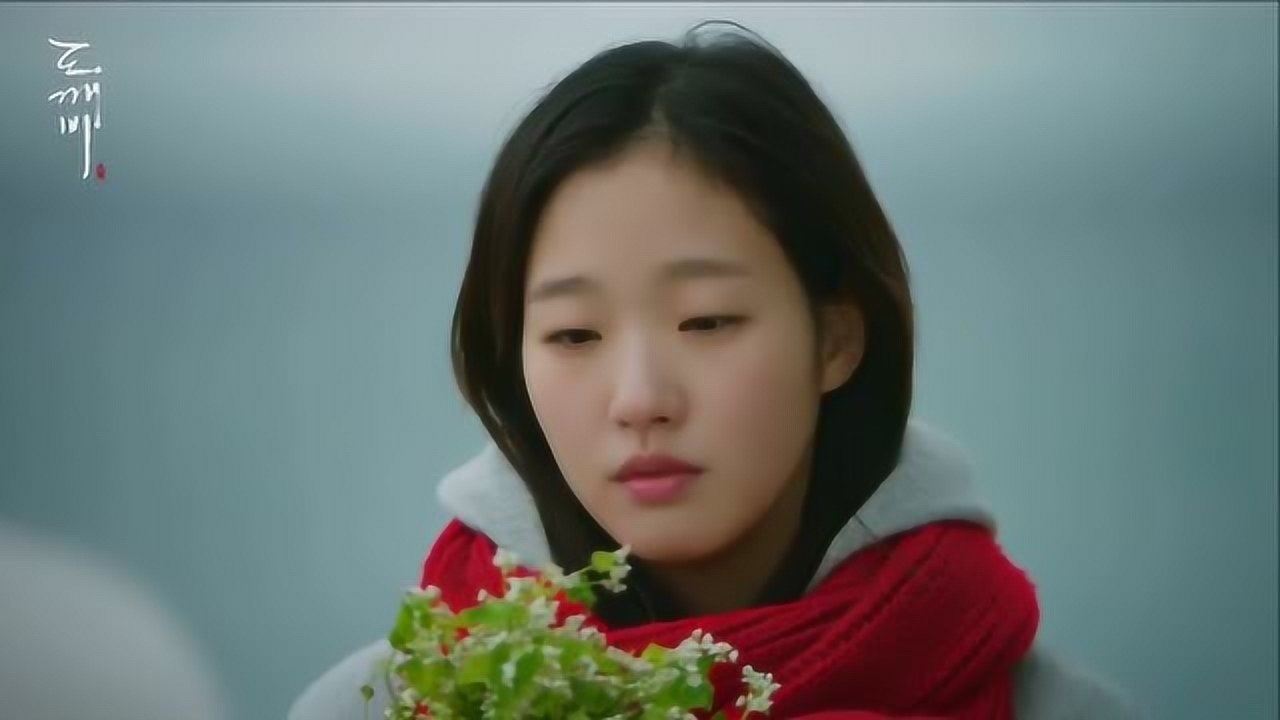 《鬼怪》恩倬19岁生日,收到礼物荞麦花,花语却是"恋人"