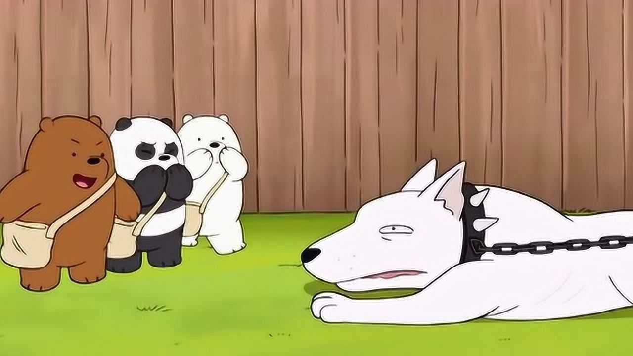 白熊三兄弟为了获得工作资格,在参加比赛过程中遇到一只恶狗吗?_腾讯