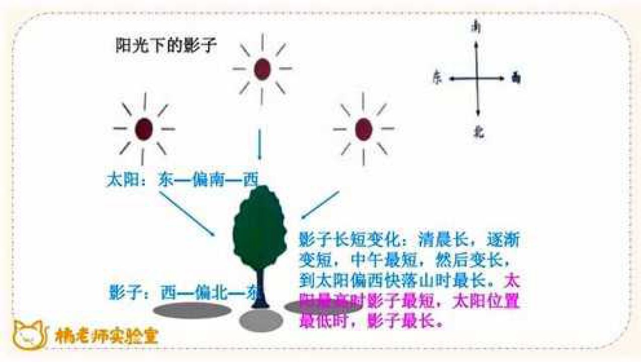 橘老师课堂第184期：[科普实验]观察阳光下影子的变化_高清1080P在线观看平台_腾讯视频
