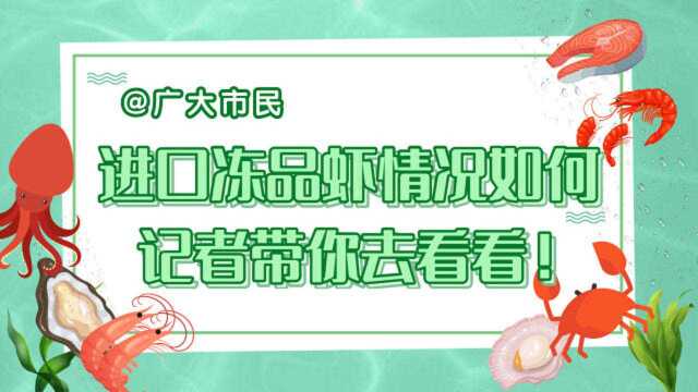 进口冻品虾还能放心吃吗?市监部门来把关