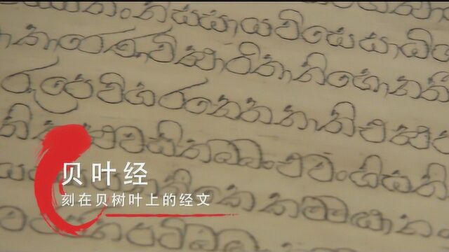 刻在树叶上的千年经典,为何被称为“佛教熊猫”?如何体现人文精神的延续?