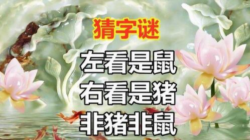 趣味猜字谜:左看是鼠,右看是猪,非猪非鼠,打一字