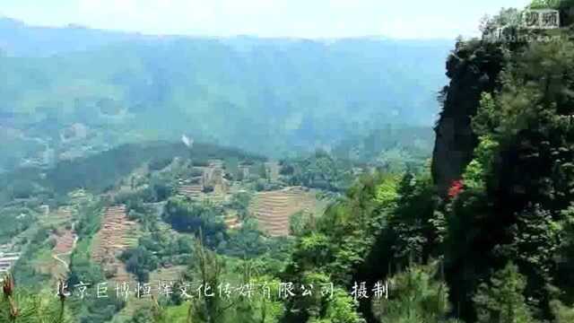 陈建平在武汉