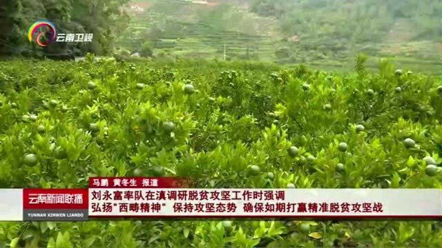 刘永富率队在滇调研脱贫攻坚工作