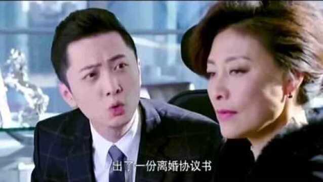 离婚不分真假,办了离婚手续就是真离婚