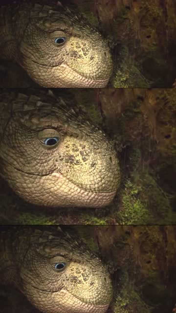 恐龙王:小恐龙想妈妈,它多想妈妈可以把它抱在怀里