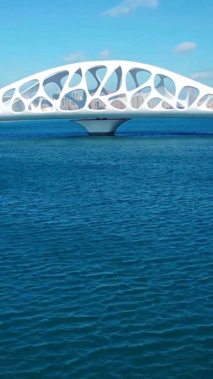 位于青岛市的星光岛贝壳桥  独特的造型真的是美翻了!