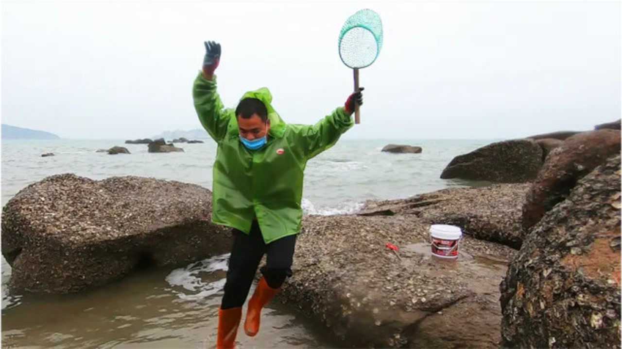 赶海大熊详细资料图片