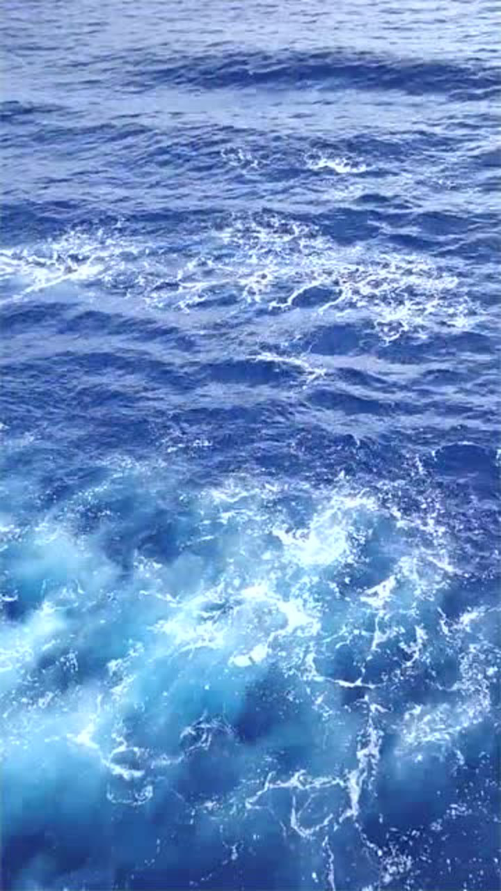 原来海水真的是蓝色的,好清澈啊,大海的颜色