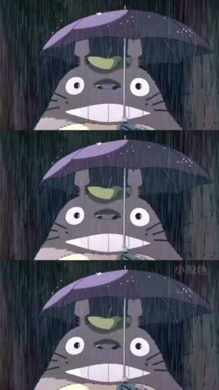 龙猫:小女孩看到龙猫淋雨,却只用树叶挡雨,还递伞给它太有爱了