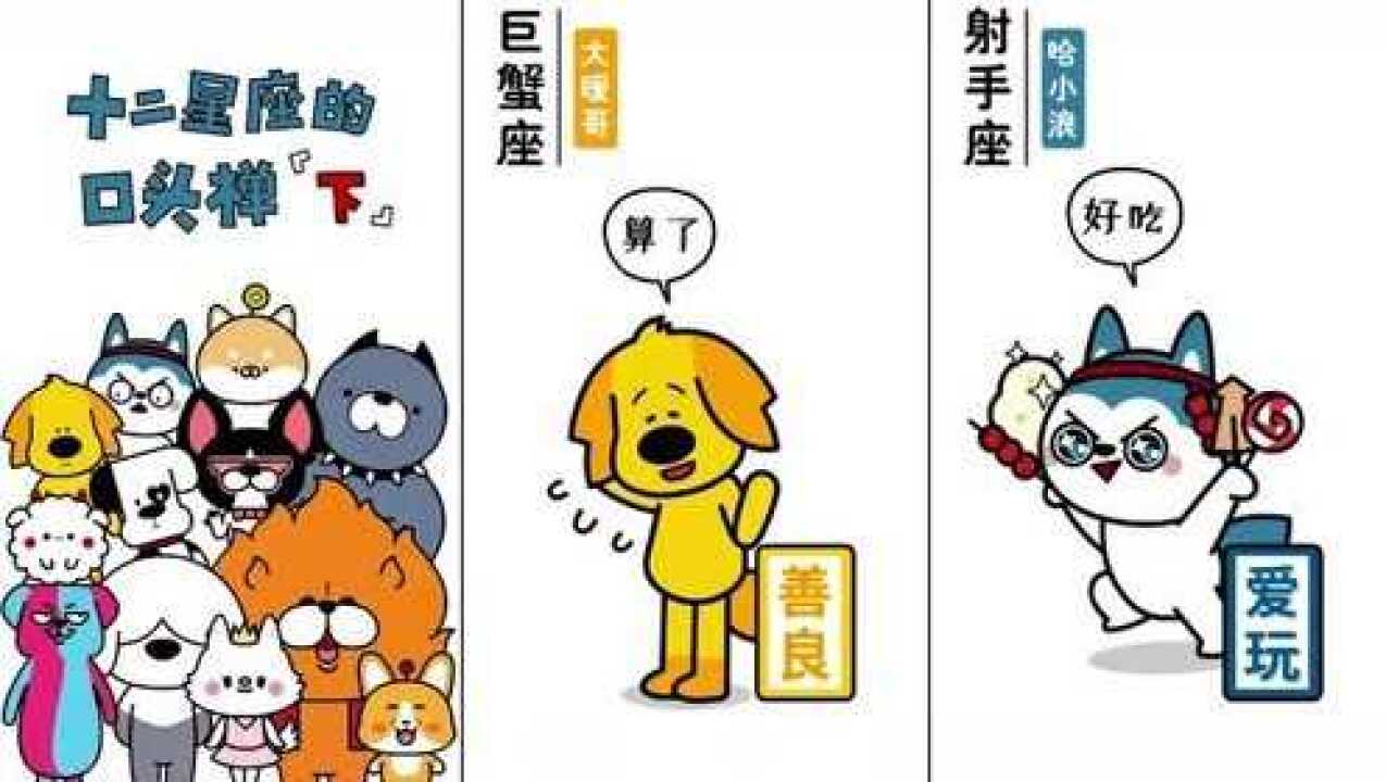 十二星座哈小浪的口头禅好吃好玩好厉害