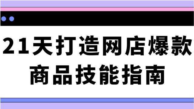 21天打造网店爆款商品技能指南