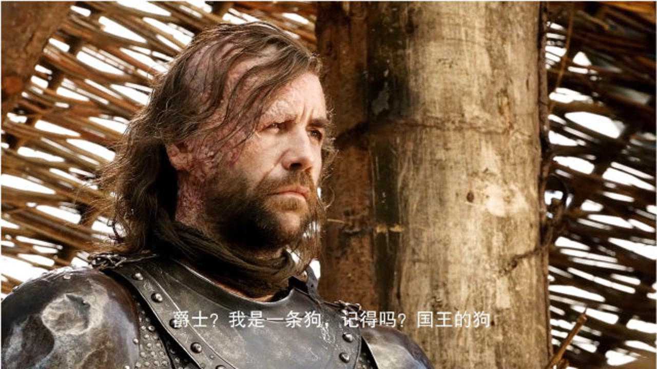 权力的游戏人物志猎狗骑士我是一条狗记得吗国王的狗