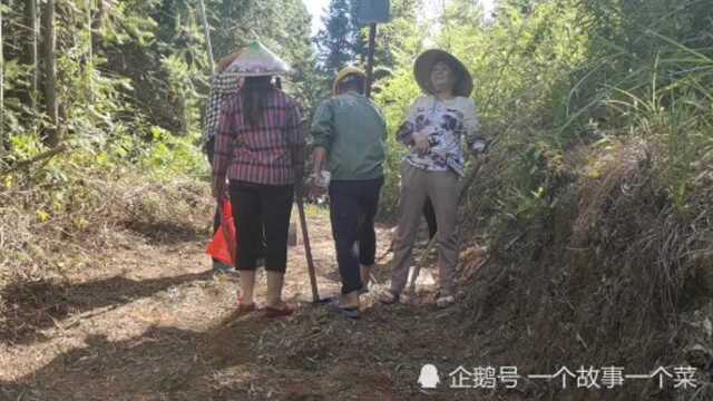 乡村文化习俗每年七月十七村民来通天大圣祭拜广场清理杂草