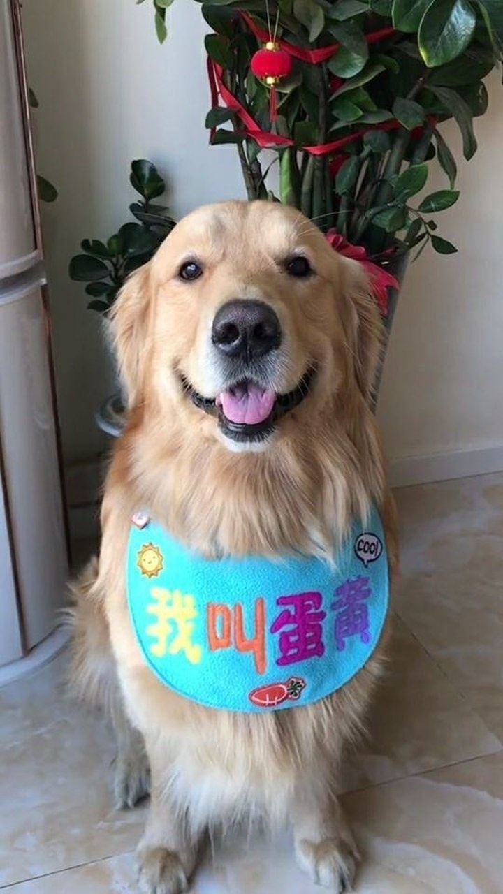 说它丑八怪生气了