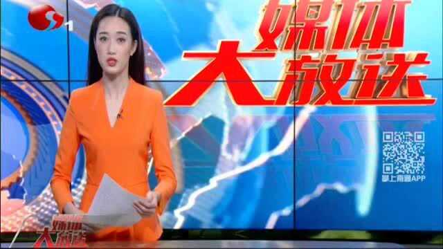 6个年轻人一起“撸猫” 患上猫藓 奇痒难忍