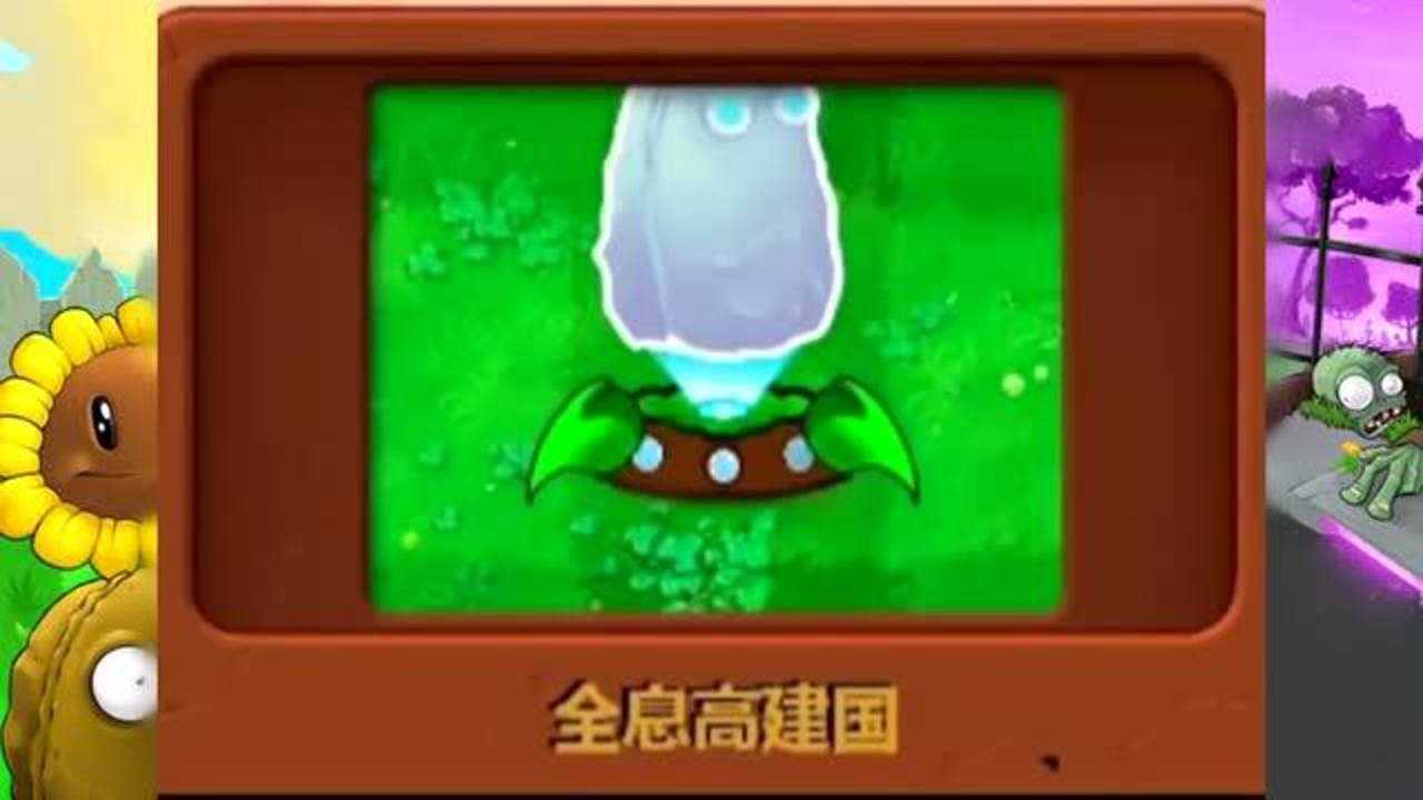 高坚果的哥哥全息高建国真的很好用!