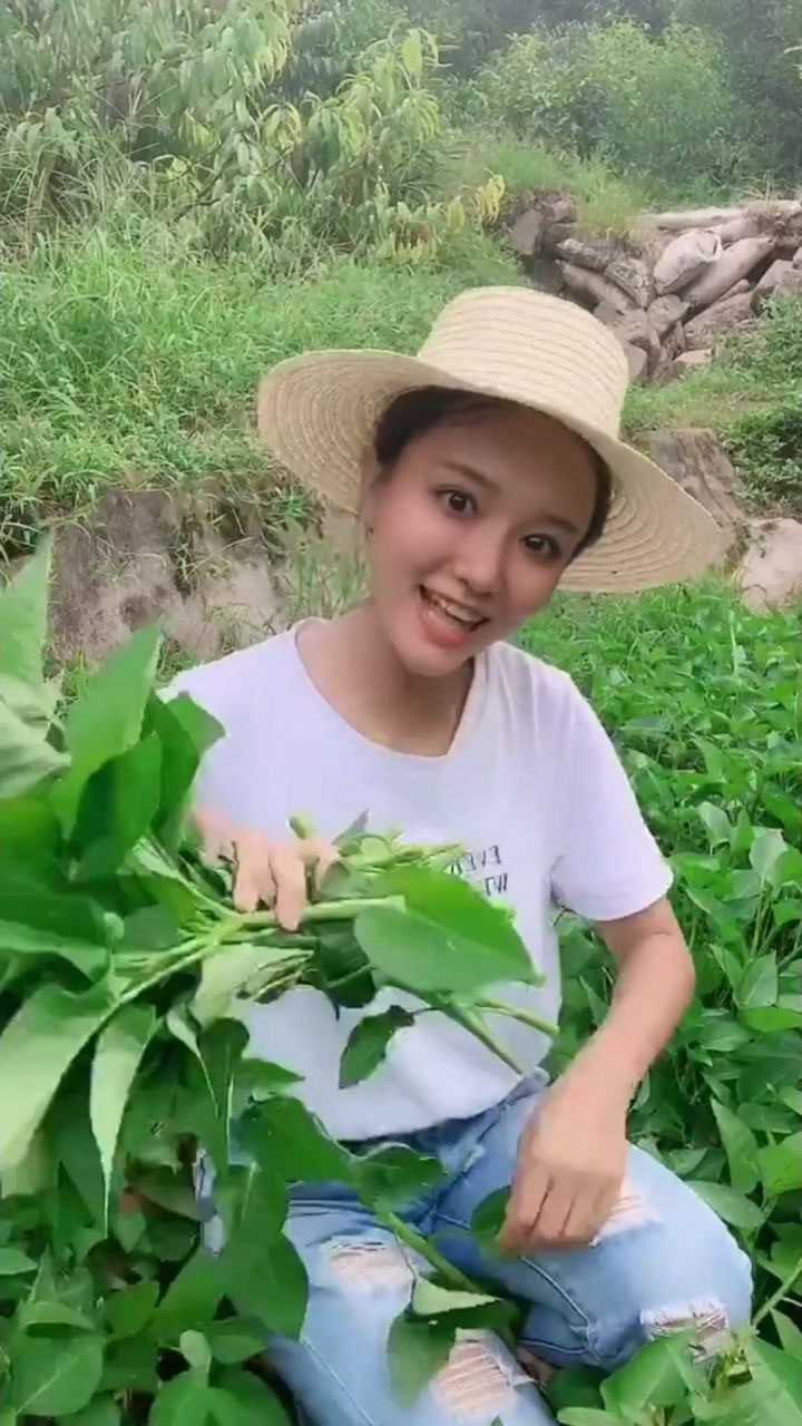 最豪横的菜吃了藤藤菜就是长得帅